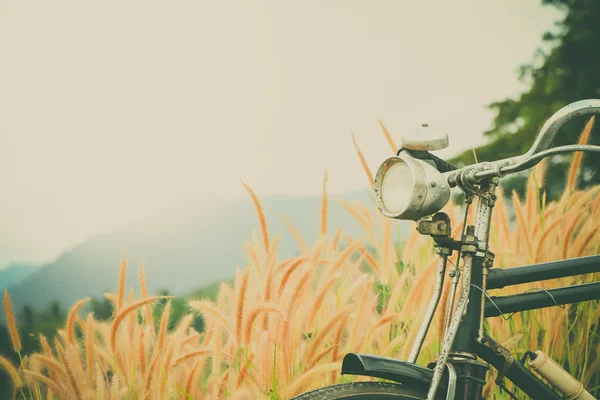 Kır çiçekleri ile Vintage Bisiklet 