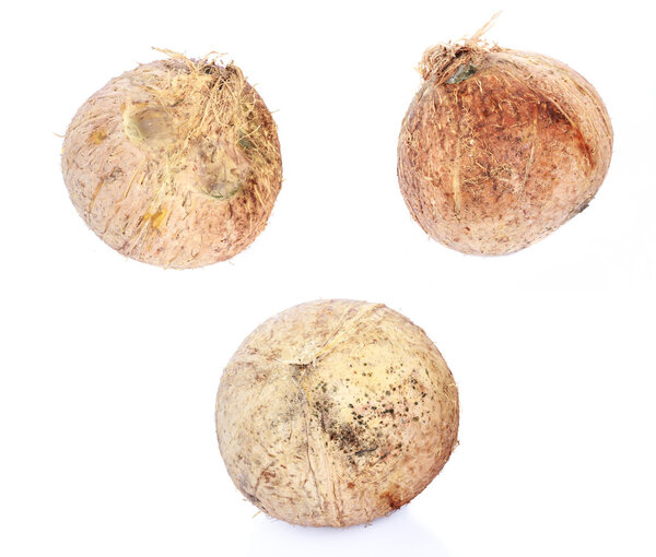 Three coconut fruit 