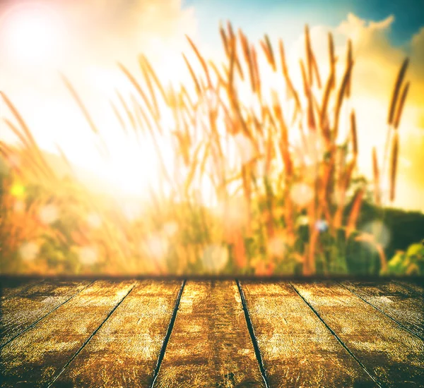 Fundo natureza borrada com tampo da mesa — Fotografia de Stock