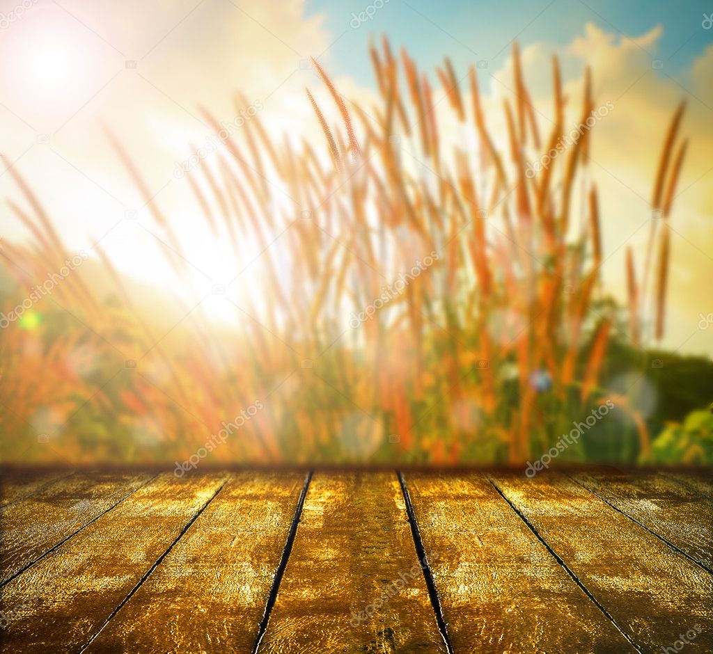 blurred nature background with table top