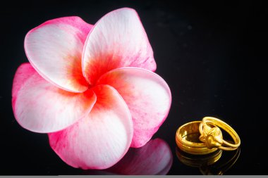 Alyans Plumeria çiçek 