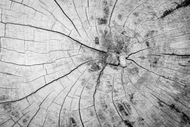 Soyut güdük arka plan.