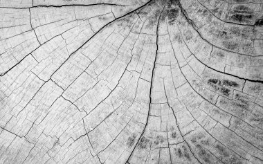 Soyut güdük arka plan.