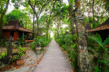 doğa üzerinde çare 