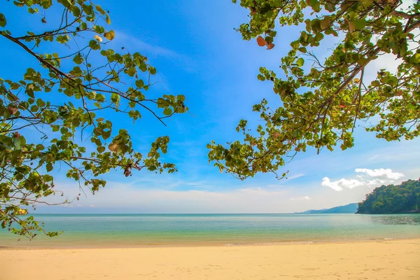 Peaceful beach  background — Stock Photo, Image