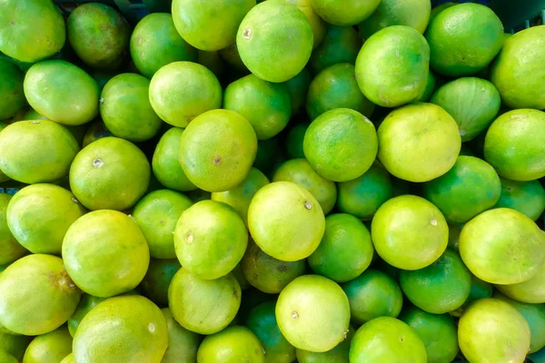 Modèle de citron vert biologique — Photo
