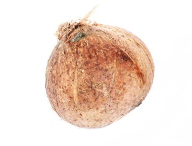 Hindistan cevizi kadar yakın