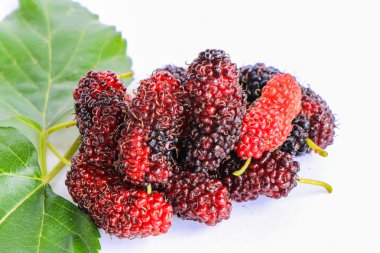 Ahududu böğürtlen ile