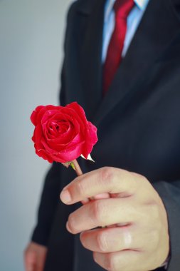 İş adamı gösterilen takım elbiseli gül