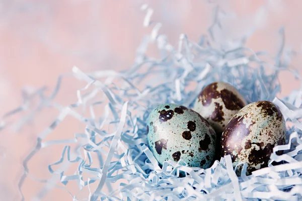 The easter eggs. — Stock Photo, Image
