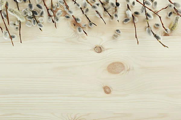 Spring wooden background with branches of willow. Copy space. Background. — Stock Photo, Image