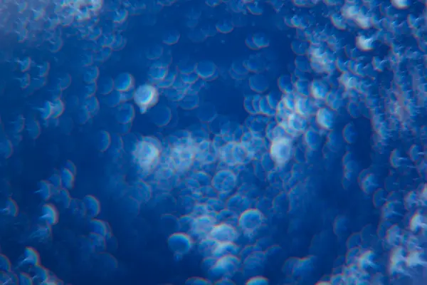 Abstrait fond bleu profond avec des cercles blancs. Contexte. Texture . — Photo