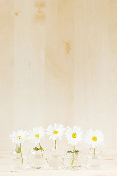 Весна белые цветы на деревянном фоне. Принято. Фон. Шаблон. Текстура . — стоковое фото
