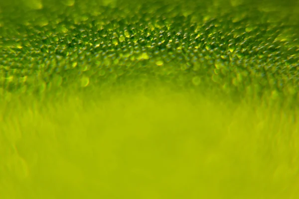 Abstrato fundo primavera verde brilhante com borrão e brilhos. Fundo de primavera. Fundo de verão. Textura . — Fotografia de Stock