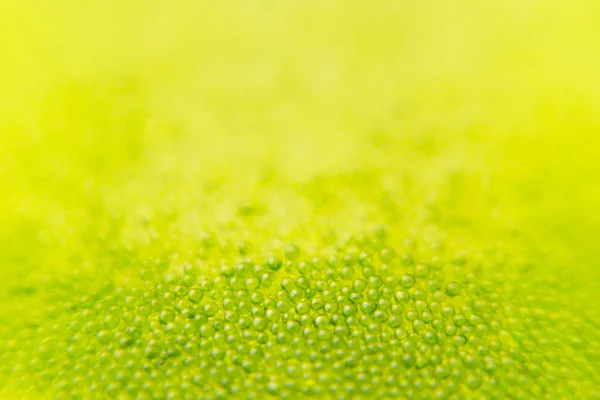 Abstrakte hellgrüne Frühlingshintergrund mit Unschärfe und Funkeln. Frühling Hintergrund. Sommer-Hintergrund. Textur. — Stockfoto