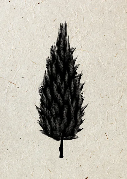 Ciprés. Árbol de dibujo sobre un papel de arroz beige. Silueta negra madera . —  Fotos de Stock