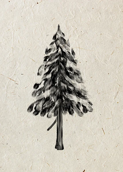 Abeto. Desenho de árvore em um papel de arroz bege. Madeira de silhueta preta . — Fotografia de Stock