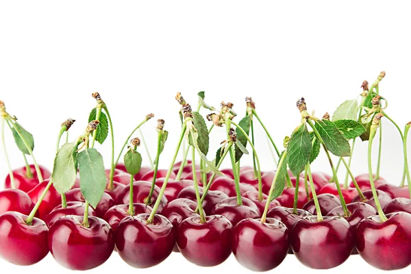 Klasar av mogna körsbär med blad på en vit bakgrund. Isolerade. Dekorativ frukt gränsen. Mat bakgrund. Kopiera utrymme. — Stockfoto