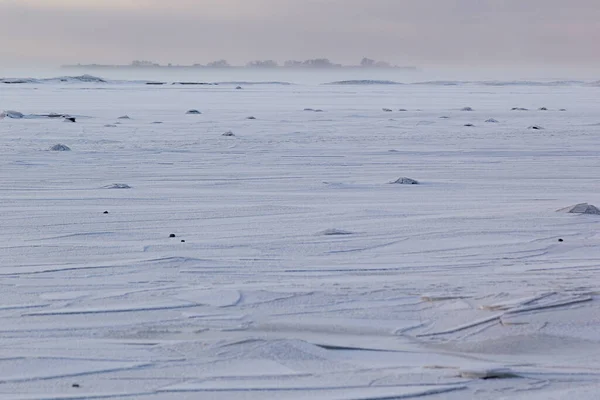 Frostig Windigen Winterhintergrund Pastellfarben Mit Gefrorenem Ufer Weht Schnee Und — Stockfoto