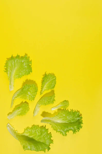 음식의 노란색 그림자가 샐러드 — 스톡 사진