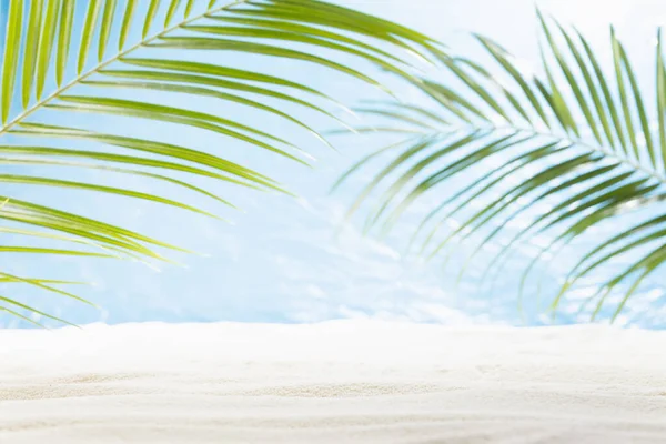 Prázdná Letní Tropická Pláž Zelenými Palmovými Listy Jako Oblouk Bílý — Stock fotografie