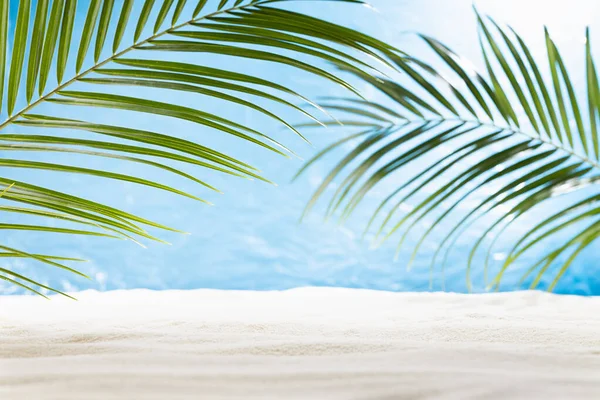 Slunečná Tropická Pláž Zelenými Palmovými Listy Jako Rámeček Bílý Písek — Stock fotografie