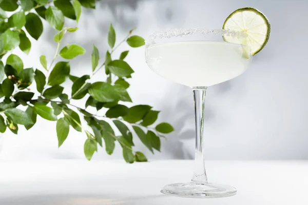 Tropické Léto Čerstvý Alkohol Blátivý Bílý Koktejl Margarita Okrajem Cukru — Stock fotografie