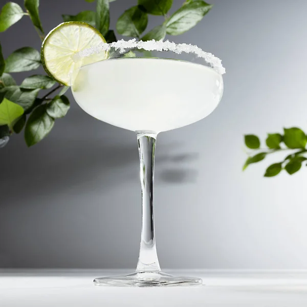 Cocktail Rinfrescante Agrumi Estivi Calice Vetro Con Bordo Zucchero Fetta — Foto Stock