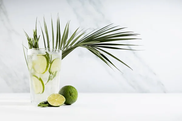 Detox Kaltlimonade Mit Eiswürfeln Limettenscheiben Rosmarinzweig Zutaten Grünes Palmblatt Transparentem — Stockfoto