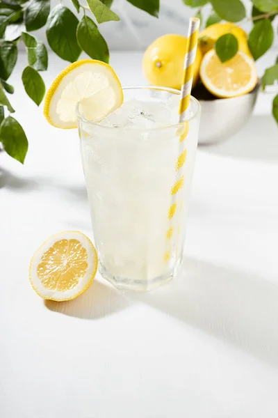 Olgunlaşmış Limonlardan Arınmış Taze Limon Suyu Bardakta Buz Gümüş Kasedeki — Stok fotoğraf
