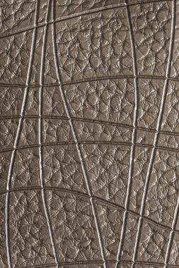 Gümüş deri dokusu