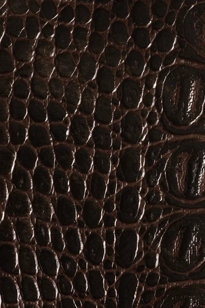 Texture cuir marron — Photo