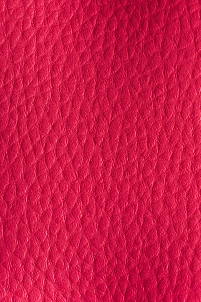 Purpurová kůže textury — Stock fotografie