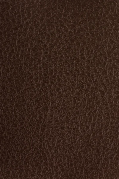 Texture cuir marron — Photo