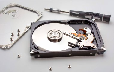 içerideki bilgisayar sabit diskini, üzerinde verinin yazıldığı aynalı bir disk ve manyetik bir kafa ile parçalara ayırdım. Tornavida ve vidalar yan yana. Beyaz üzerine izole edilmiş. Boşluğu kopyala.
