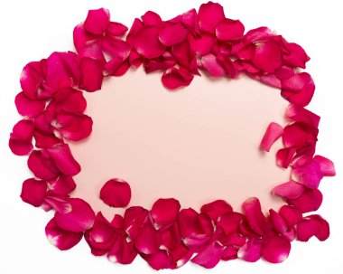 Beyaz arkaplana saçılmış parlak kırmızı gül yapraklarının arka planı ve dokusu, pembe merkezde yazı için bir yer var. kopyalama alanı. yakın plan.