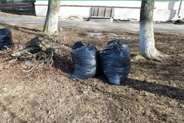 garbage bags with garbage collected after winter. spring cleaning of the city.