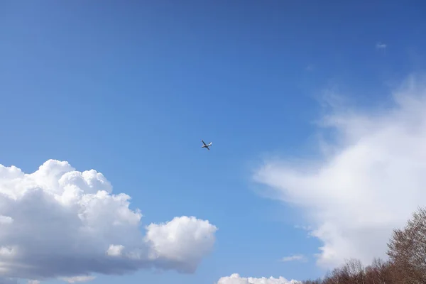 Plane Flies Forest Patrols Search Fire Blue Sky Clouds Sunny — Stock Photo, Image