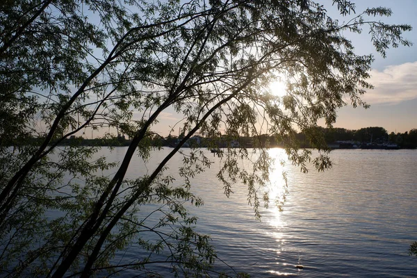 Lenyugvó Naplementét Fák Lombozatán Keresztül Egy Nagy Folyó Partján Másolás — Stock Fotó