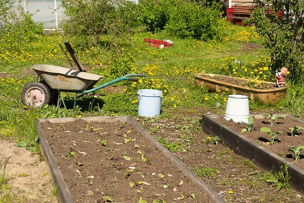 Garden Wheelbarrow Stands Next Vegetable Gardens Farming Concept Sunny Day — Photo