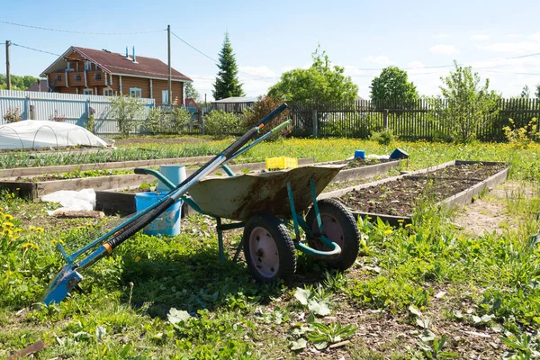 there is a garden wheelbarrow with garden tools next to the vegetable gardens. agriculture concept. farm life concept.