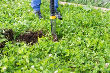 Çocuk bir kır evinin arazisine ağaç dikmek için çukur kazıyor. Kırsalda tatil. Boşluğu kopyala.