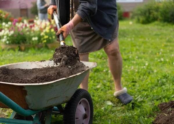Uma mulher usa uma pá de um carrinho de mão jardim para espalhar o chão no jardim. — Fotografia de Stock