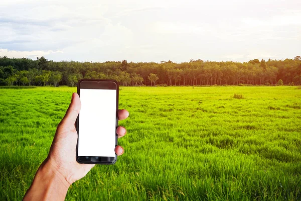 Asia man hand holding black smartphone with blank screen behind of Green field, tree and blue sky Background. Space for text or design