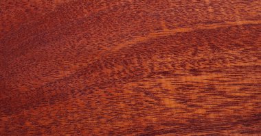 Tasarımınız için panoramik ahşap döşeme arka plan fotokopi alanı ya da duvar kağıdı afiş panosu. İşiniz için yüksek kalite kolaylıkla kullanılabilir. Üst görünümlü yatay bileşim