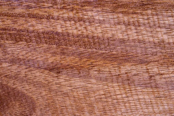 Timber Wooden Texture Used Made Backgrounds Your Designs Good Beautiful — Stock Photo, Image