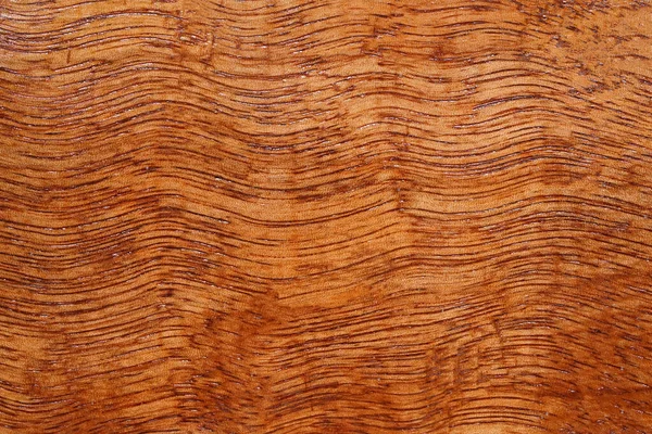 Hermoso Espacio Copia Fondo Textura Madera Marrón Para Diseño Poner — Foto de Stock