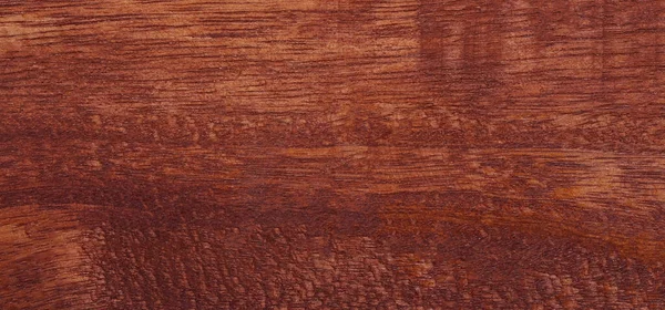 Панорамні Текстури Дерев Яних Стін Копіюють Простір Вашого Дизайну Або — стокове фото