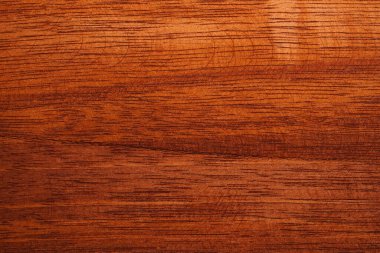 Doğal meşe dokusu. İş için yüksek kalite. Daha iyi ve çekici görünüyor. Tasarımınız veya dekorasyonunuz için boşluk kopyalayın. Doğal yüzey desenli yatay bileşim