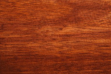 Doğal meşe dokusu. İş için yüksek kalite. Daha iyi ve çekici görünüyor. Tasarımınız veya dekorasyonunuz için boşluk kopyalayın. Doğal yüzey desenli yatay bileşim